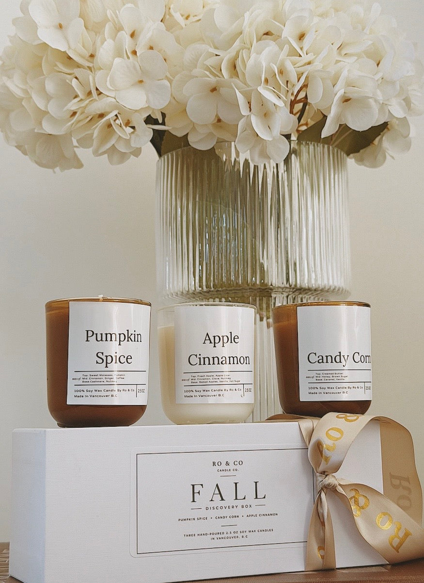 Fall Discovery Box