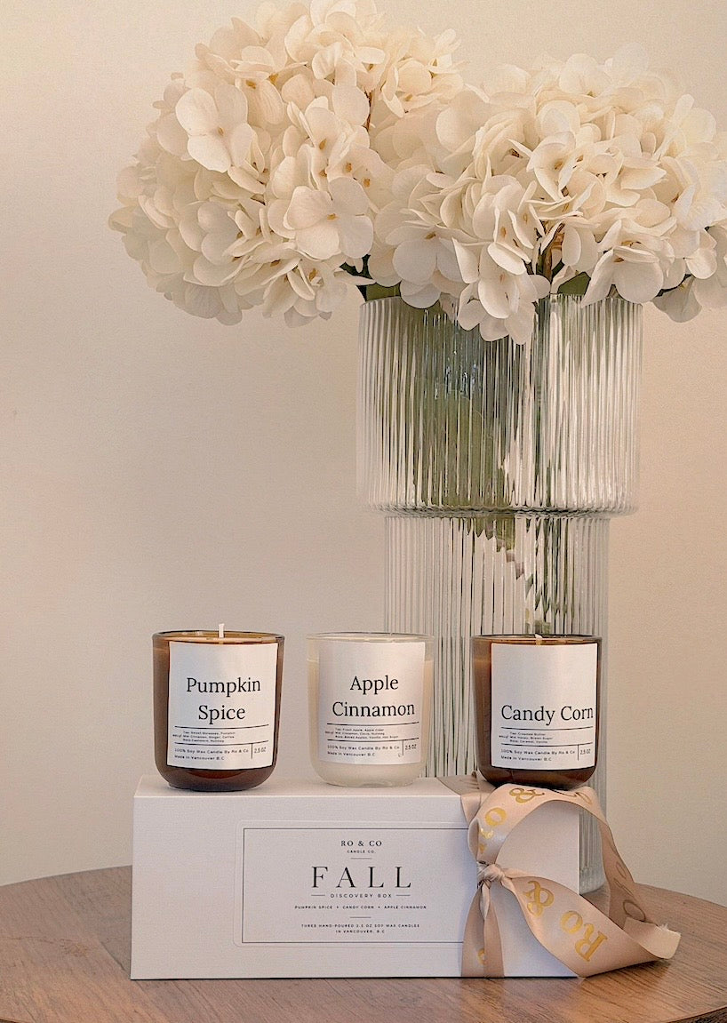 Fall Discovery Box
